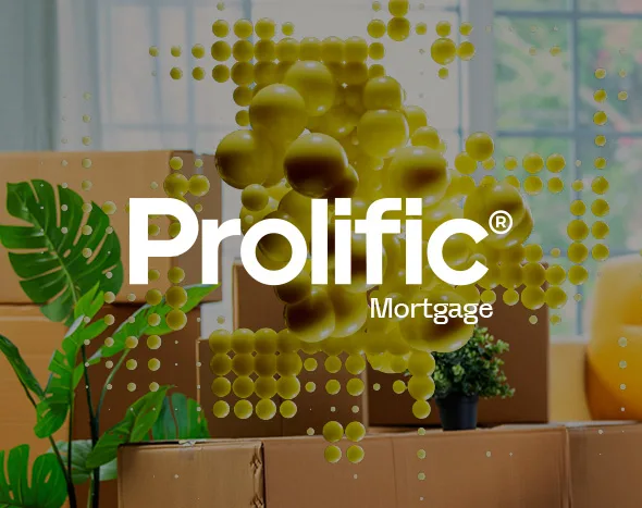 Prolific Mortgage brand identity and design from the 300bees portfolio